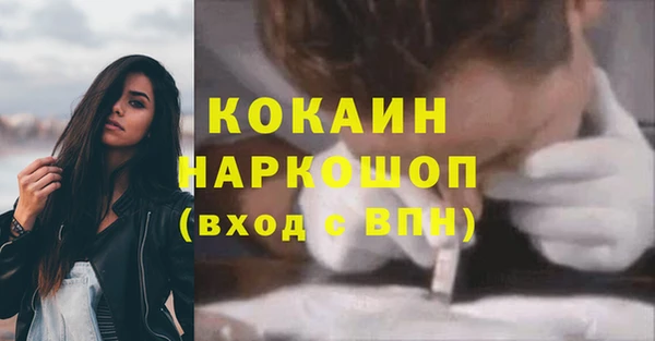 ешки Корсаков