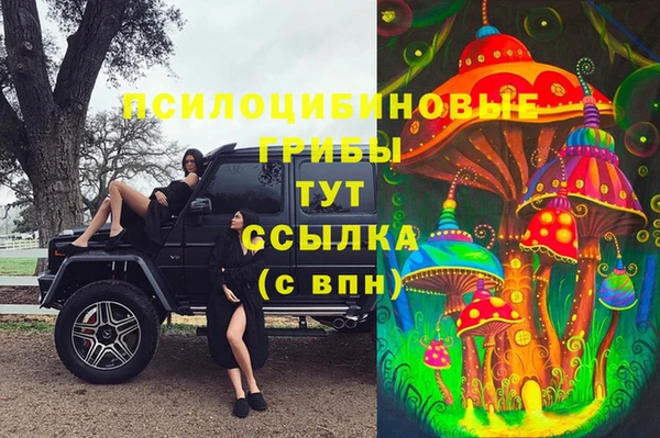 стафф Киреевск