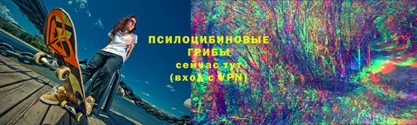 ешки Корсаков