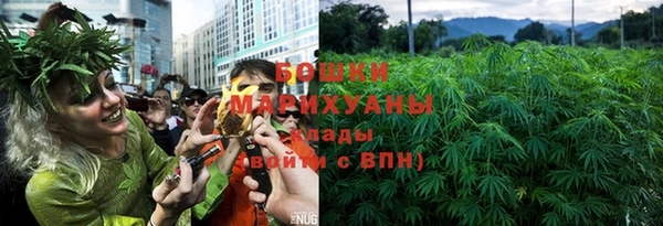 ешки Корсаков