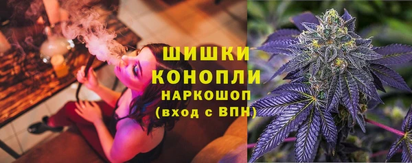 тгк Коряжма