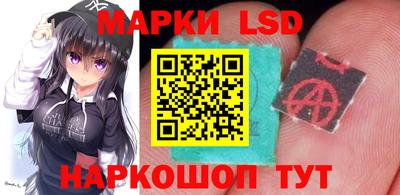 скорость Донской