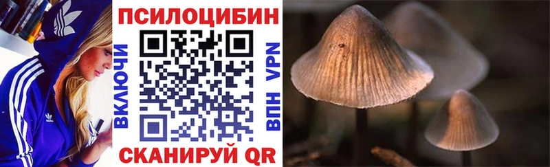 Галлюциногенные грибы MAGIC MUSHROOMS  Малгобек 